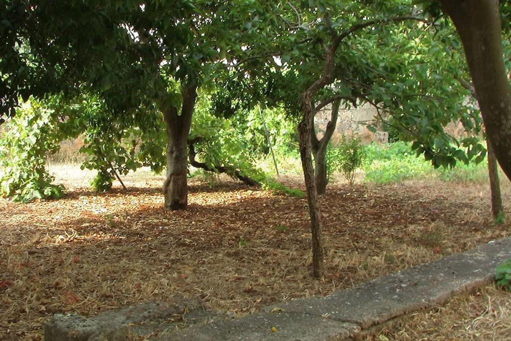 Villa Nel Salento - Ampie Camere E Giardino, Fino A 9 Persone Barbarano del Capo Exterior foto